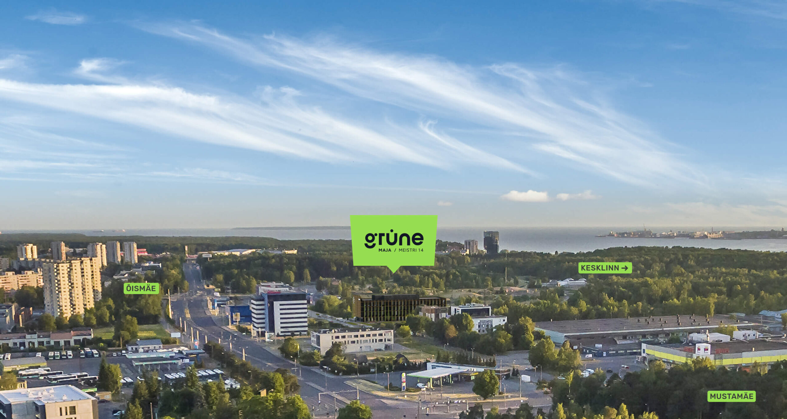 grüne asukoht